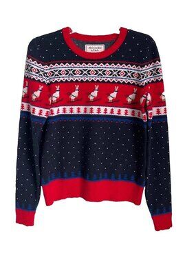 Abercrombie & Fitch Blue Red Knit Fair Isle Ski Bunny Sweater